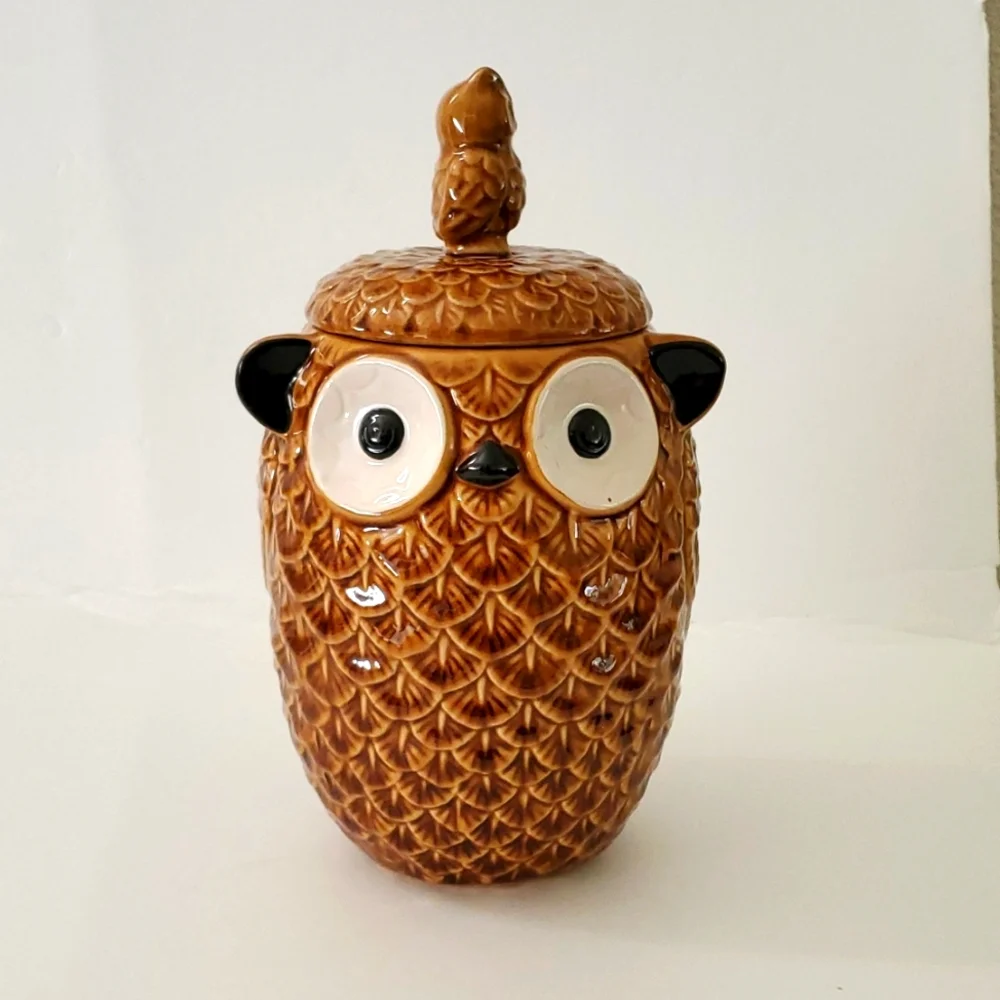 Pier 1 Imports Owl Cookie Jar